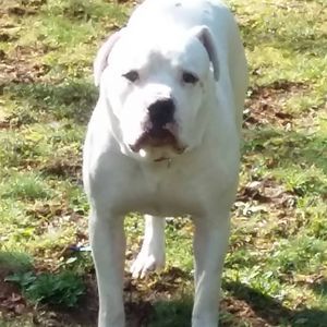 Meet your Posher, Donald